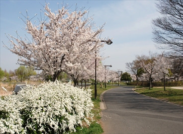 ☆　舎人公園バーベキュー場について　☆