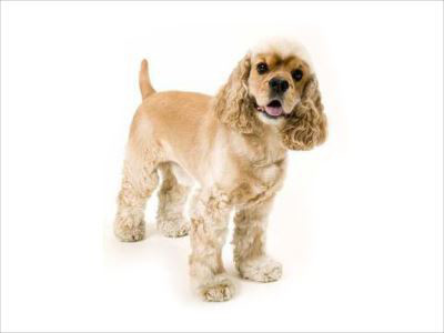 ☆　4月になりました　☆