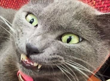 ♡　疲れた時に　♡