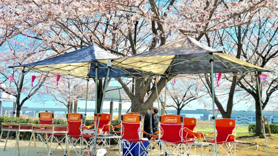 今週末が最後のお花見BBQ