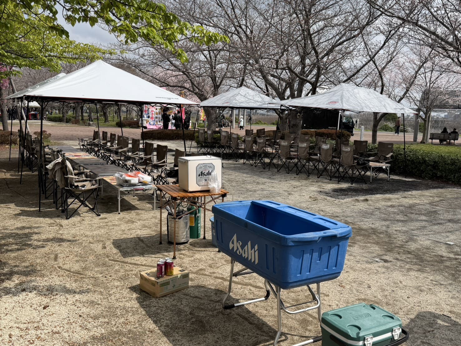 小松川千本桜でBBQ🌸