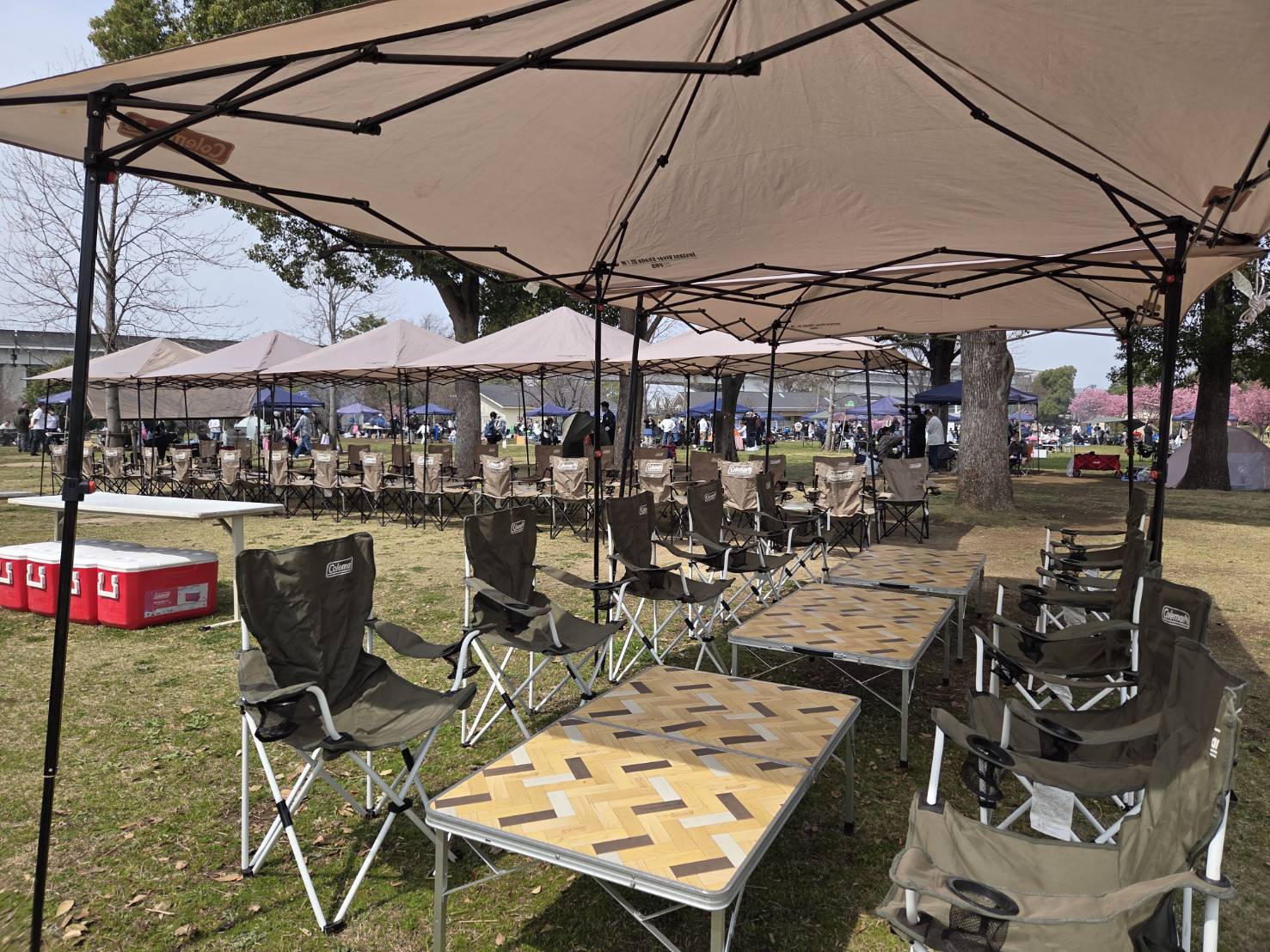 舎人公園でBBQ♡