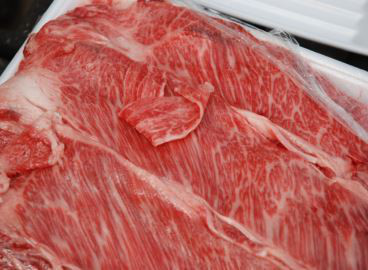 バーベキューレンタル　ゴードン　こてつブログ-新木場公園　バーベキュー