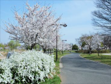 舎人公園　bbqレンタル