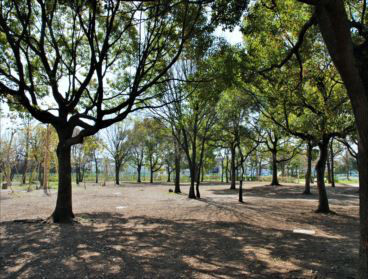 舎人公園　bbqレンタル