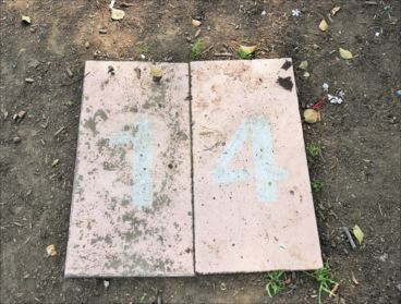 舎人公園　bbqレンタル