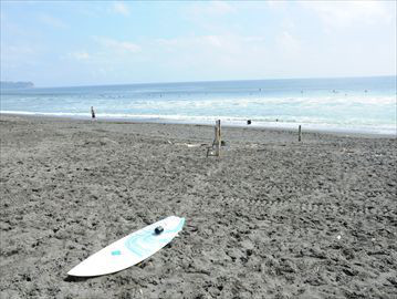 バーベキュー　新木場